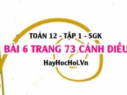 Bài 8 trang 73 Toán 12 tập 1 Cánh Diều
